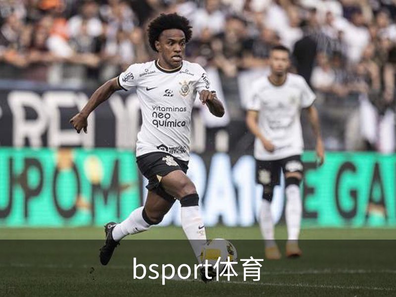 bsport体育介绍